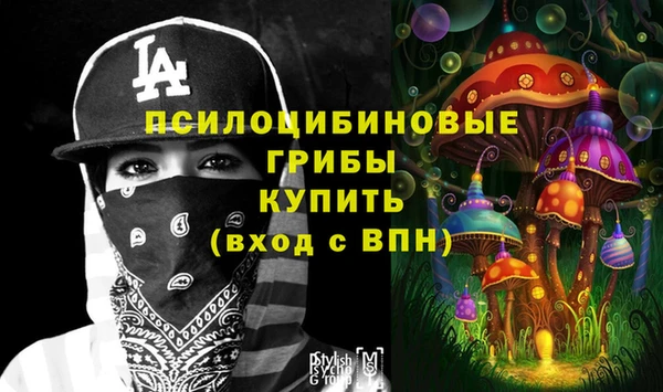 мяу мяу мука Алзамай