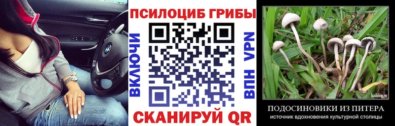 МЕГА ссылка Владимир Псилоцибиновые грибы ЛСД